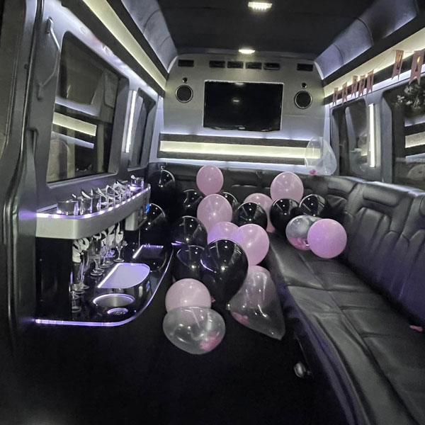 Night Out Limousine Service Woodlands
